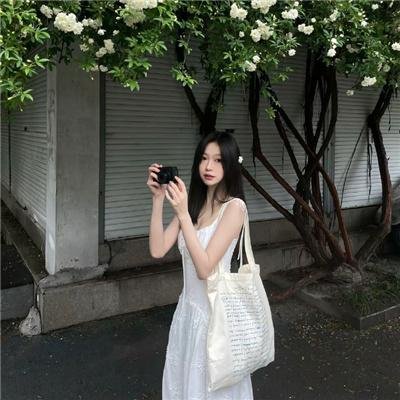 我的朋友是萌鲨